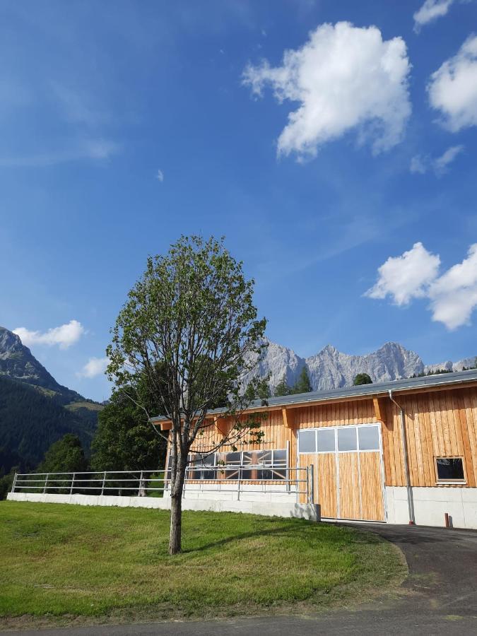 Appartement Mühlebnerhof Ramsau am Dachstein Buitenkant foto