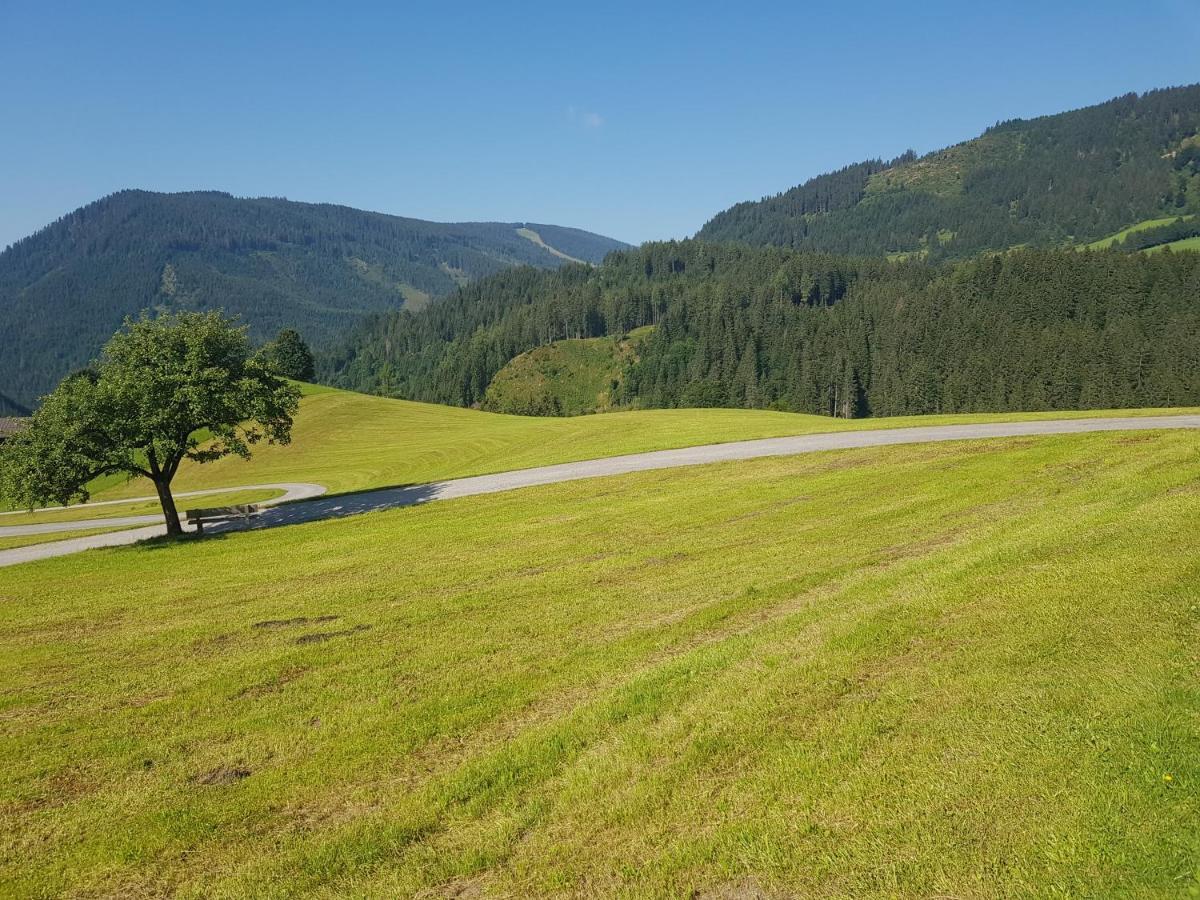 Appartement Mühlebnerhof Ramsau am Dachstein Buitenkant foto