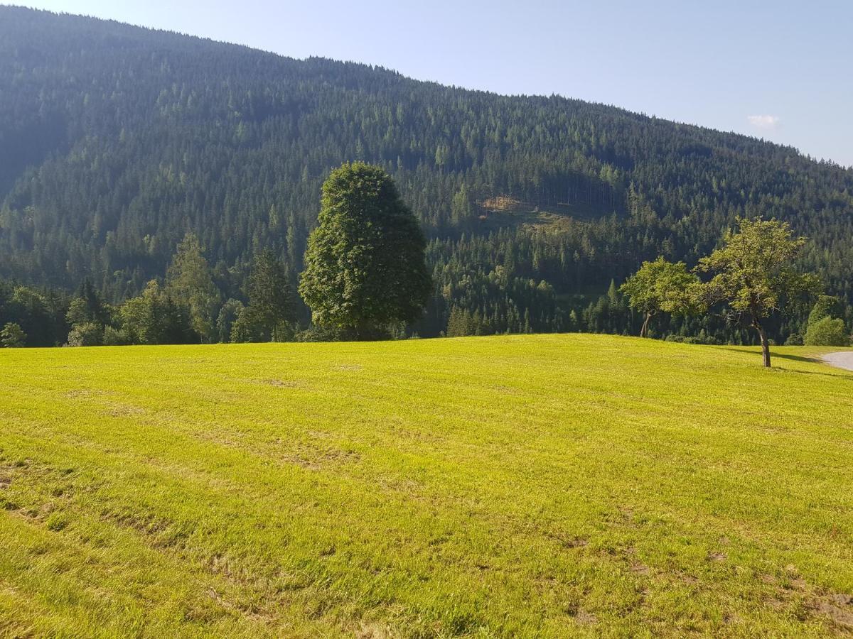 Appartement Mühlebnerhof Ramsau am Dachstein Buitenkant foto