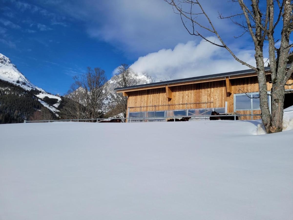 Appartement Mühlebnerhof Ramsau am Dachstein Buitenkant foto