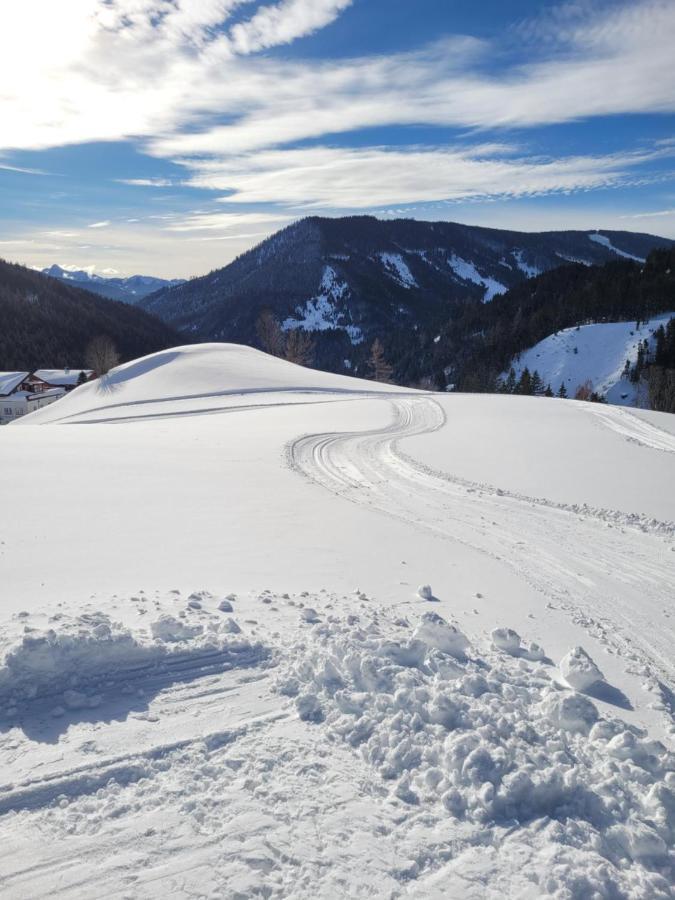 Appartement Mühlebnerhof Ramsau am Dachstein Buitenkant foto